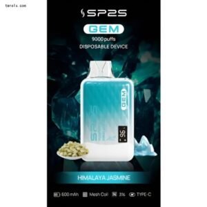SP2S 9000 PUFFS電子煙