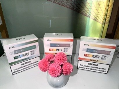 叮啞拋棄式電子煙 現貨批發