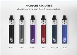 DISPOSABLE BARS 一次性電子煙