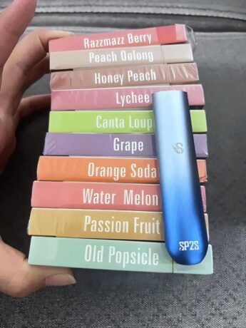 SP2主機 現貨批發